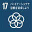 sdgs17 sdgs17
