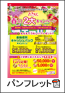 おきぎん春の２大キャンペーンチラシ